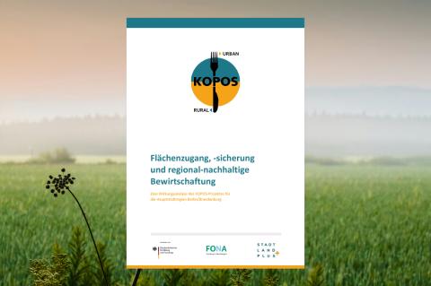 Bild des PDFs der Wirkungsanalyse des KOPOS-Projekts für Berlin-Brandenburg