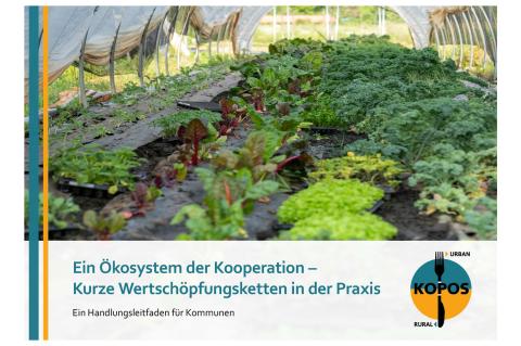 Titelbild Handlungsleitfaden